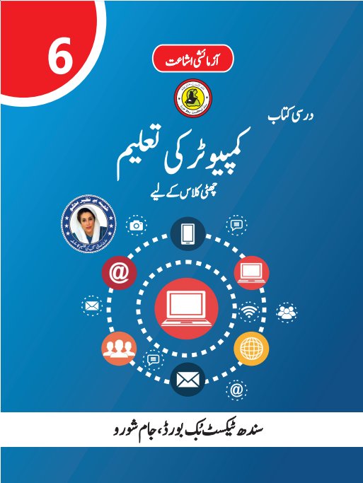 Class 6 Computer — Solved Exercises (Urdu Medium) — official book cover